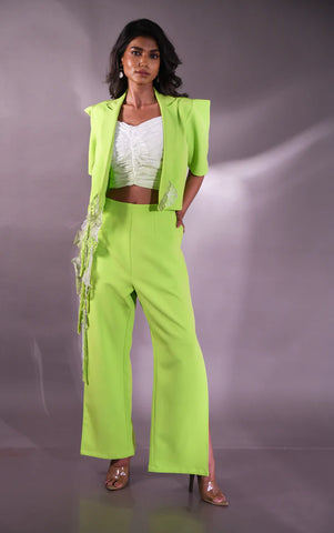 Coalesce crop blazer, pleated bustier & pant full set