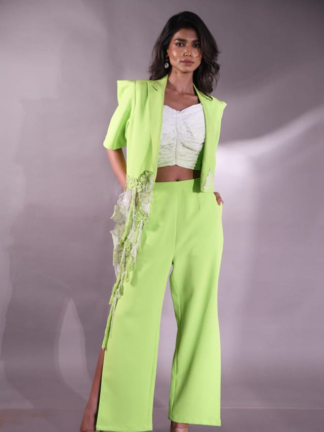 Coalesce crop blazer, pleated bustier & pant full set